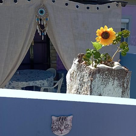 La Gatta Studio Gaios Dış mekan fotoğraf