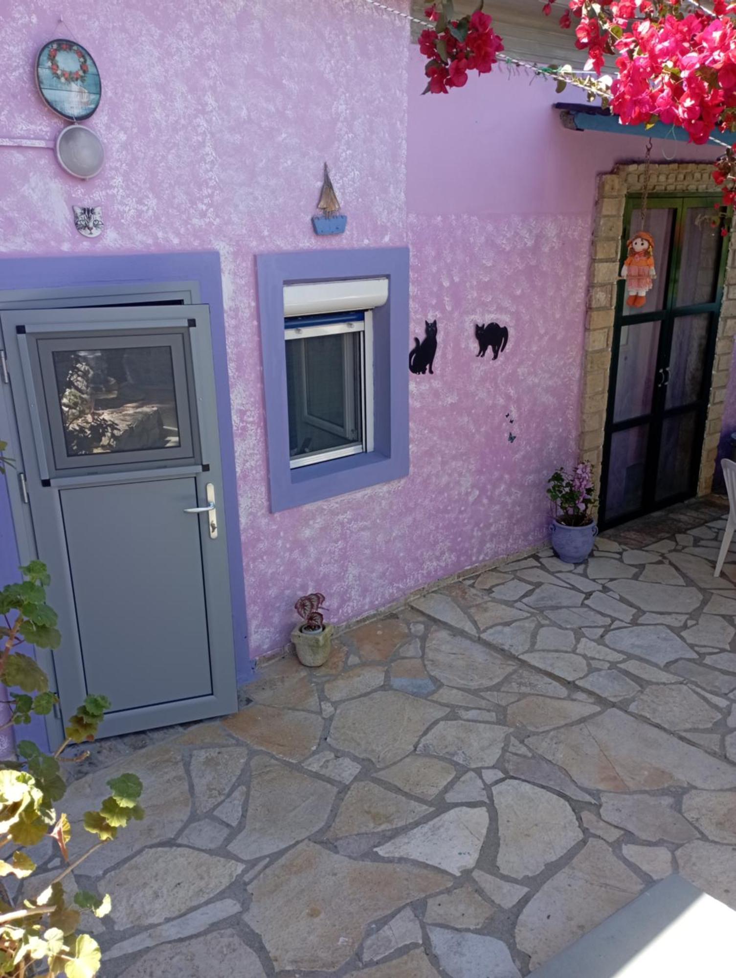 La Gatta Studio Gaios Oda fotoğraf