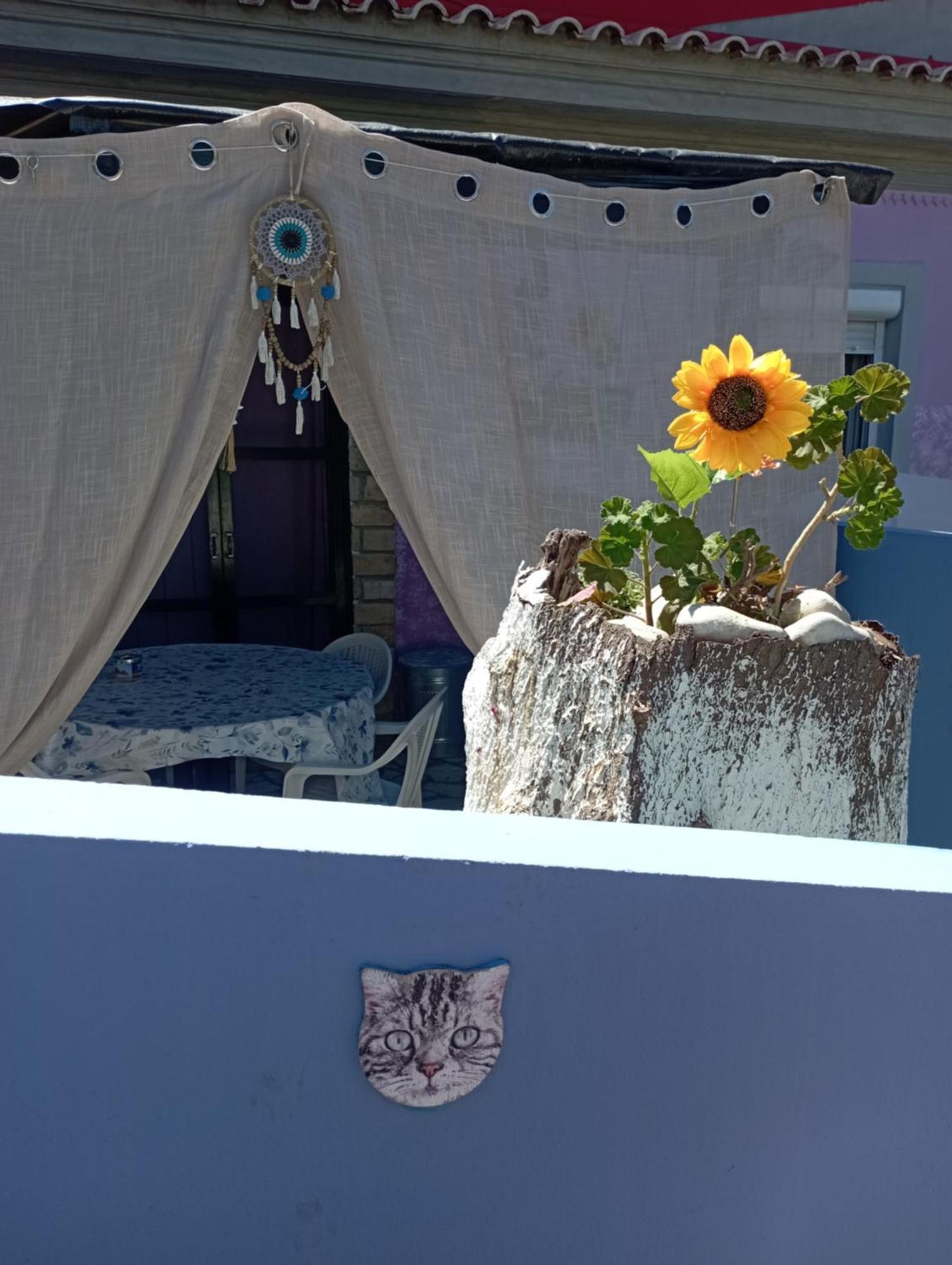 La Gatta Studio Gaios Dış mekan fotoğraf