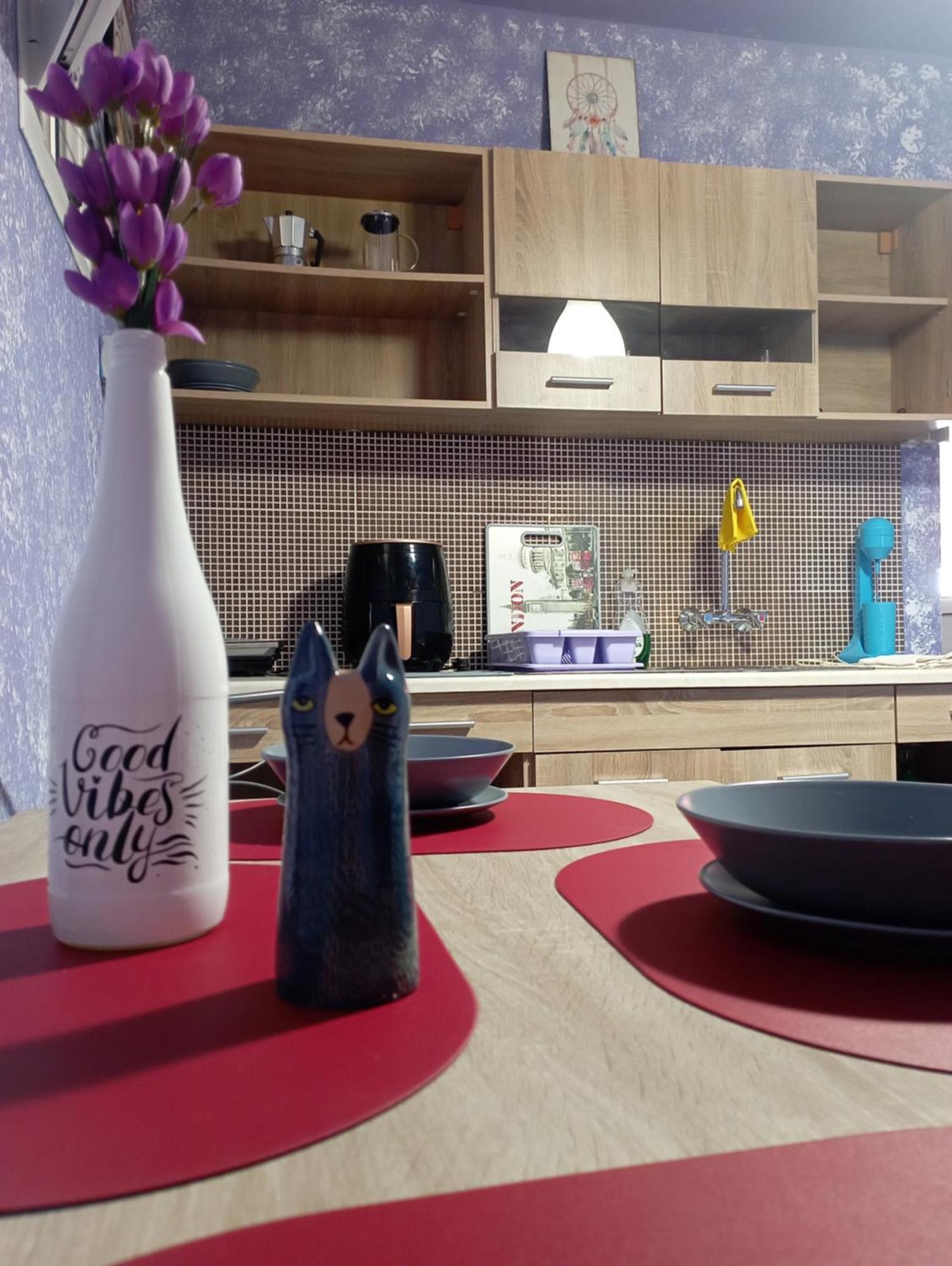 La Gatta Studio Gaios Oda fotoğraf